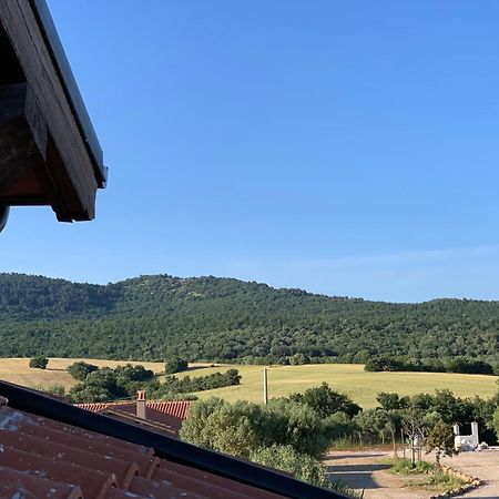 Musignano Il Poggio Di Musignano别墅 外观 照片