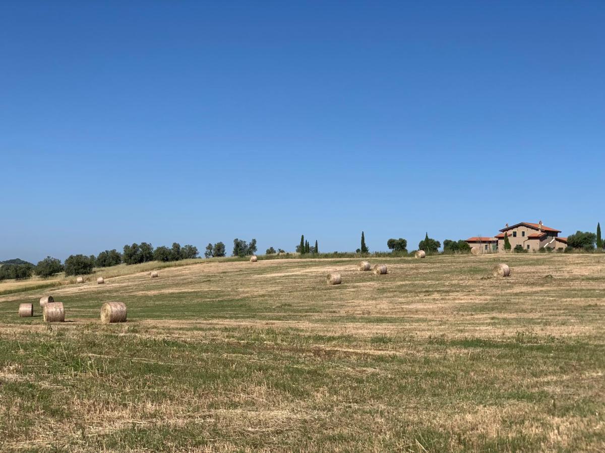 Musignano Il Poggio Di Musignano别墅 外观 照片